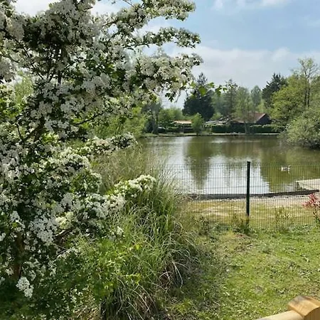 Les Tourterelles 4* Rang-du-Fliers