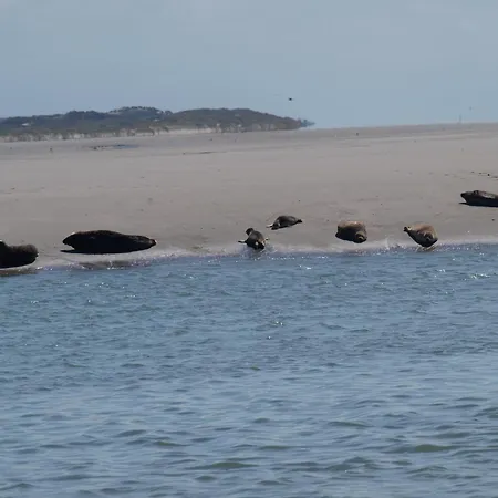 Kemping Les Tourterelles Rang-du-Fliers