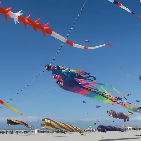 Les Tourterelles Rang-du-Fliers