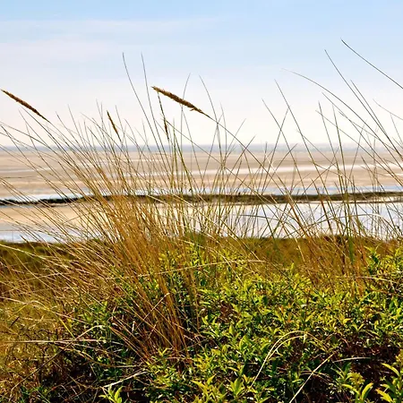 Camping Les Tourterelles