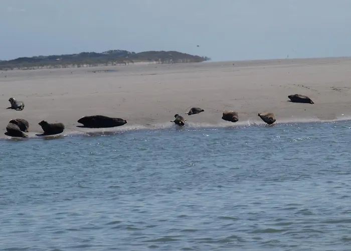 Camping Les Tourterelles Rang-du-Fliers